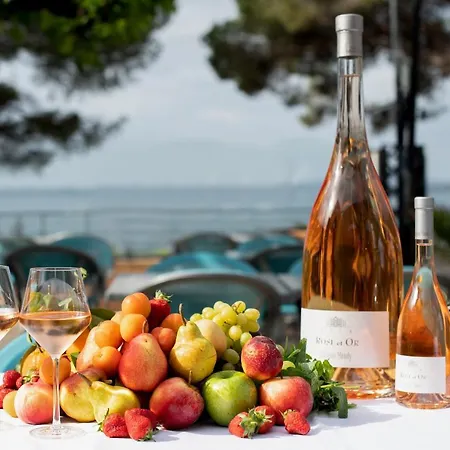 Logis Le Provencal Rest Les Mûriers Hotel 3*