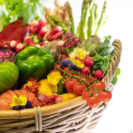 Logis Le Provencal 3* Les Issambres